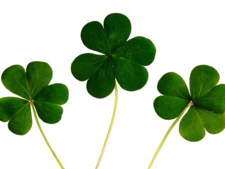 Top 5 Irish Slot Games